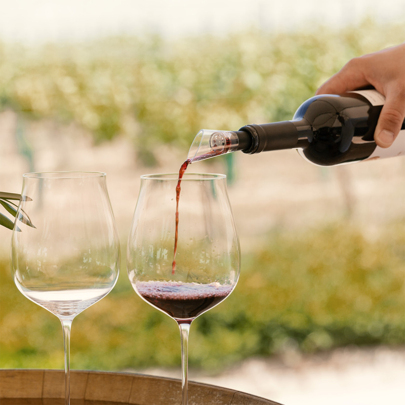 Dekantierausgießer für Wein | Lunasol