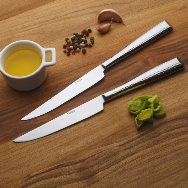Steakmesser in Magnetbox 6-tlg. Set – Miracle