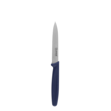 Küchenmesser 10,2 cm gezahnt | Master Blue