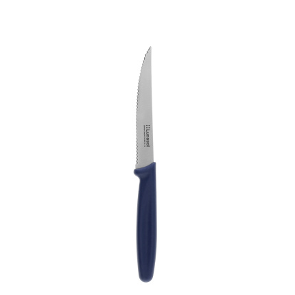 Steakmesser 11,2 cm | Master Blue