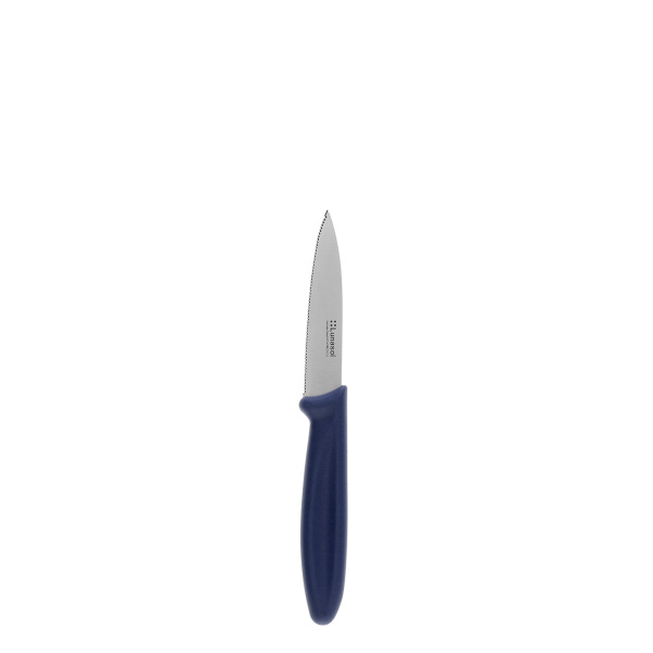 Küchenmesser 7,8 cm gezahnt | Master Blue