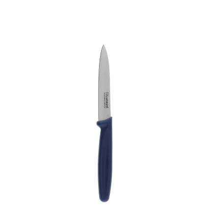 Küchenmesser 10,2 cm glatt | Master Blue