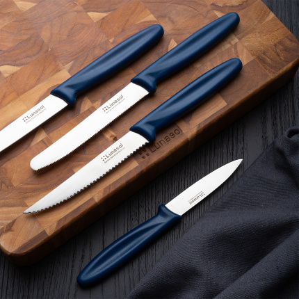 Küchenmesser 10,2 cm glatt | Master Blue