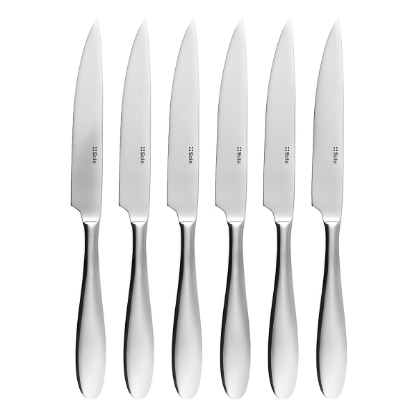 Steakmesser im Magnetkasten 6er-Set – Turin