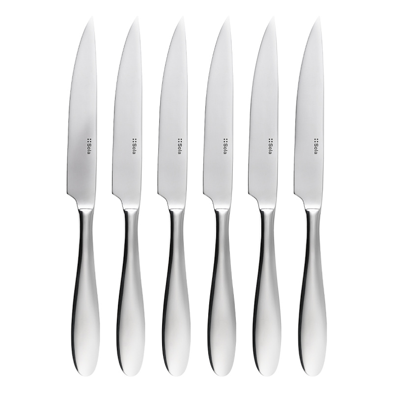 Steakmesser im Magnetkasten 6er-Set – Turin