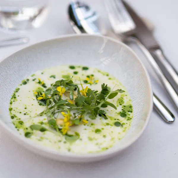 Frühlingscremesuppe, garniert mit Kräutern und essbaren Blüten, serviert in einem tiefen Teller von Elements North Organic